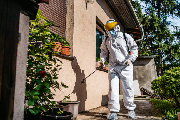 Professional Pest Control in West Easton, PA