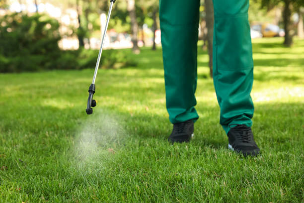 Pest Control for Restaurants in West Easton, PA