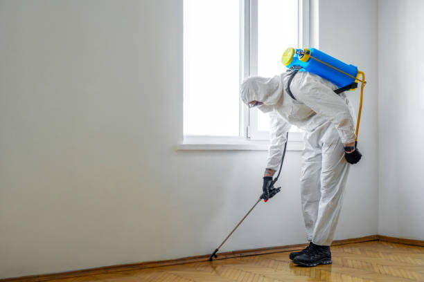Best Commercial Pest Control Services  in West Easton, PA