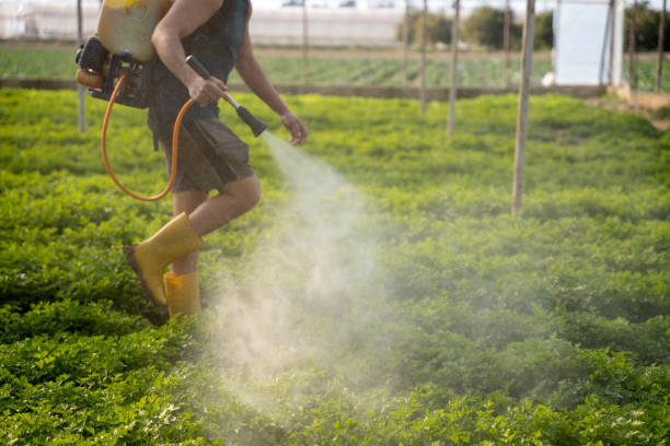 Pest Prevention Services in West Easton, PA