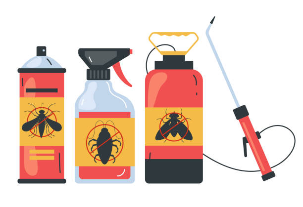 Best Insect Control  in West Easton, PA