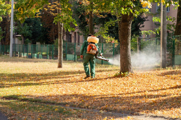 West Easton, PA Pest Control Company
