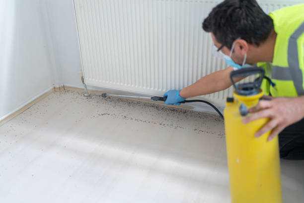 Best Ant Control Services  in West Easton, PA